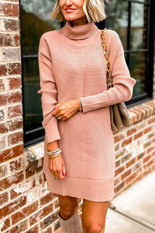 Turtleneck Ribbed Knit Shift Sweater Dress